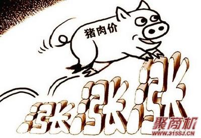 扬中网站推广 创业项目：猪肉狂涨价!不涨没利润!我到底该咋办?